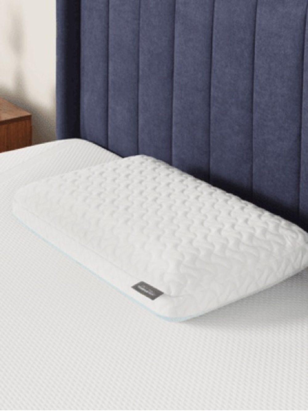 TEMPUR-Pedic TEMPUR-Cloud Pillow – Like New